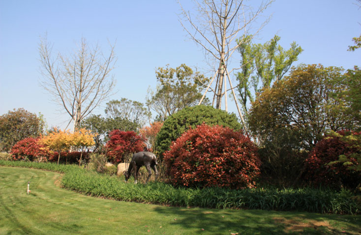 東錢(qián)湖“御景灣”景觀工程 東錢(qián)湖“御景灣”景觀工程